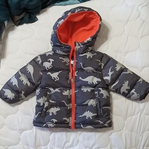 Dinosaur winter coat